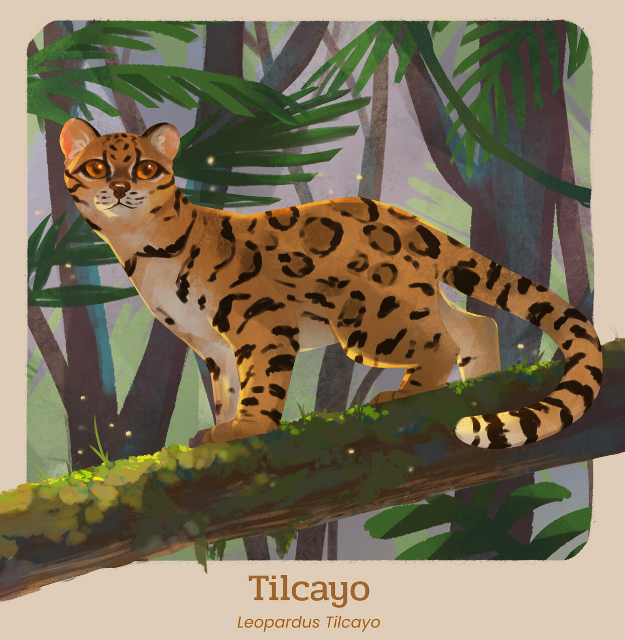 Tilcayo